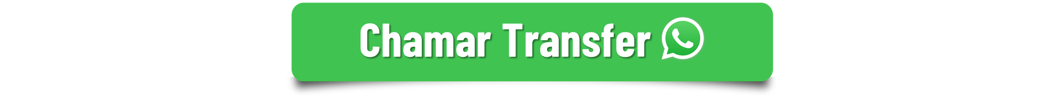 JS TURISMO - Transfer e Passeios Florianópolis.jpg.png